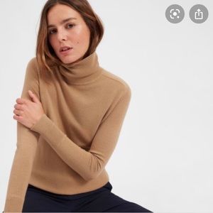 Merino Wool Turtle Neck